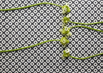 INAX Kanoko Mosaic Porcelain Sample