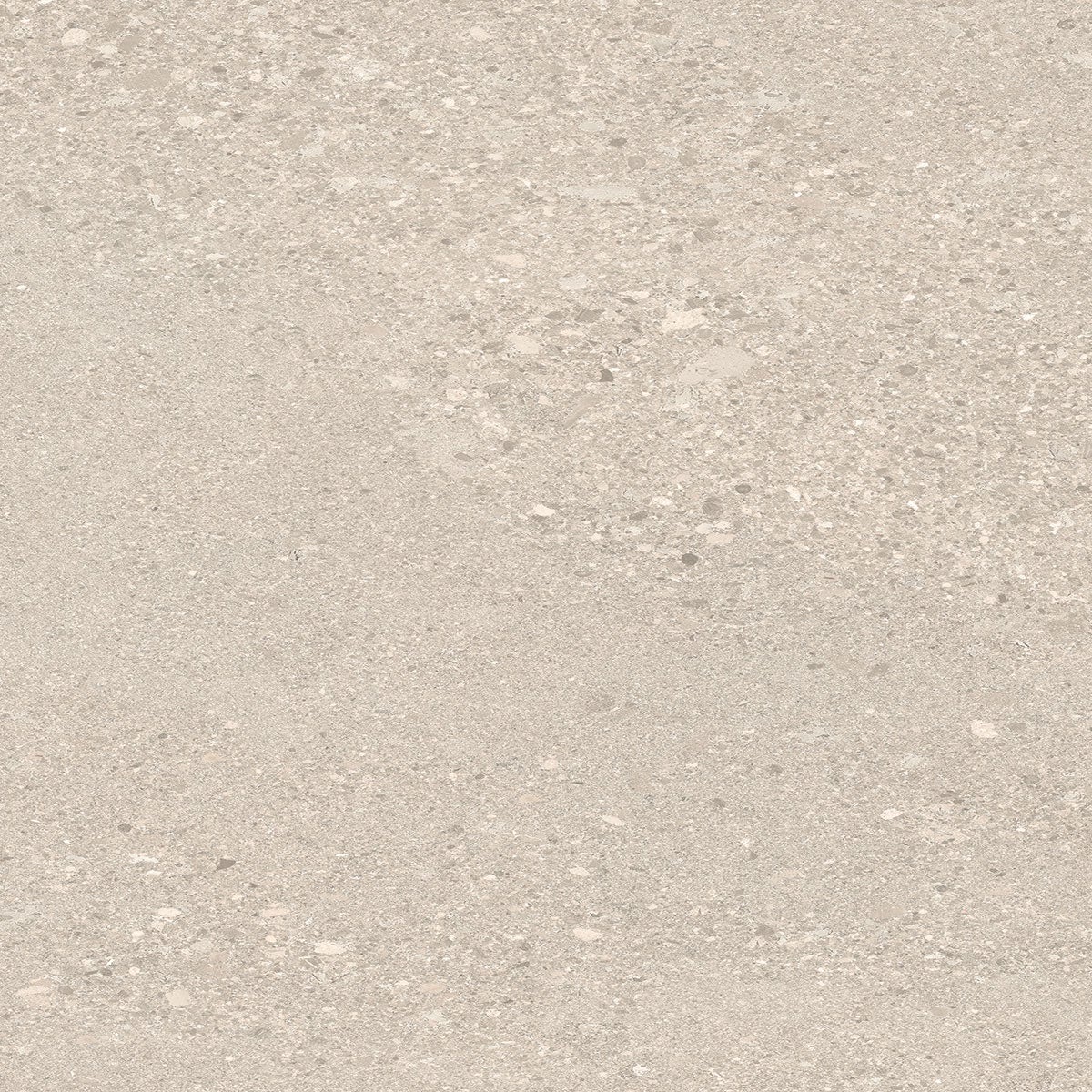 Cement Stone Rough Grain Sand Sample