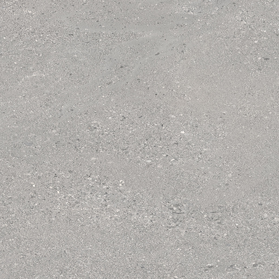 Cement Stone Rough Grain Grey Sample