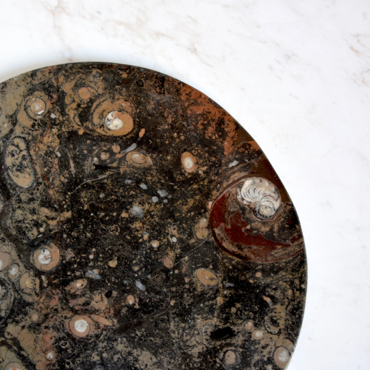 Fossil Marrone Oval Platter