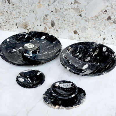 Fossil Black Serving Bowl