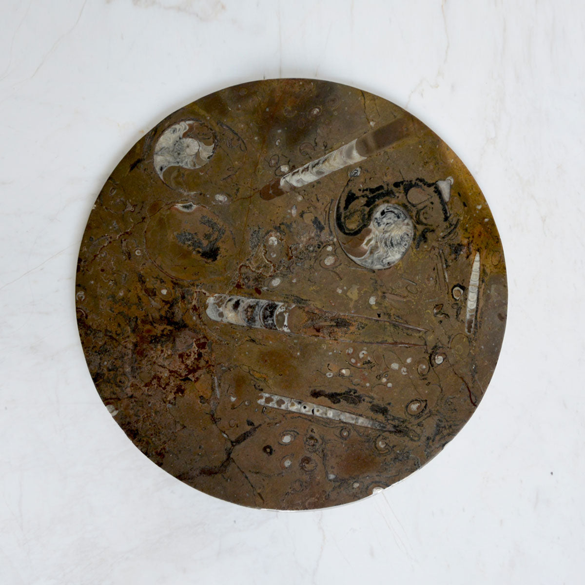 Fossil Marrone Round Platter