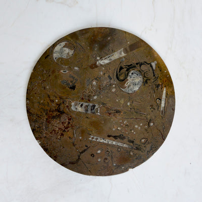 Fossil Marrone Round Platter
