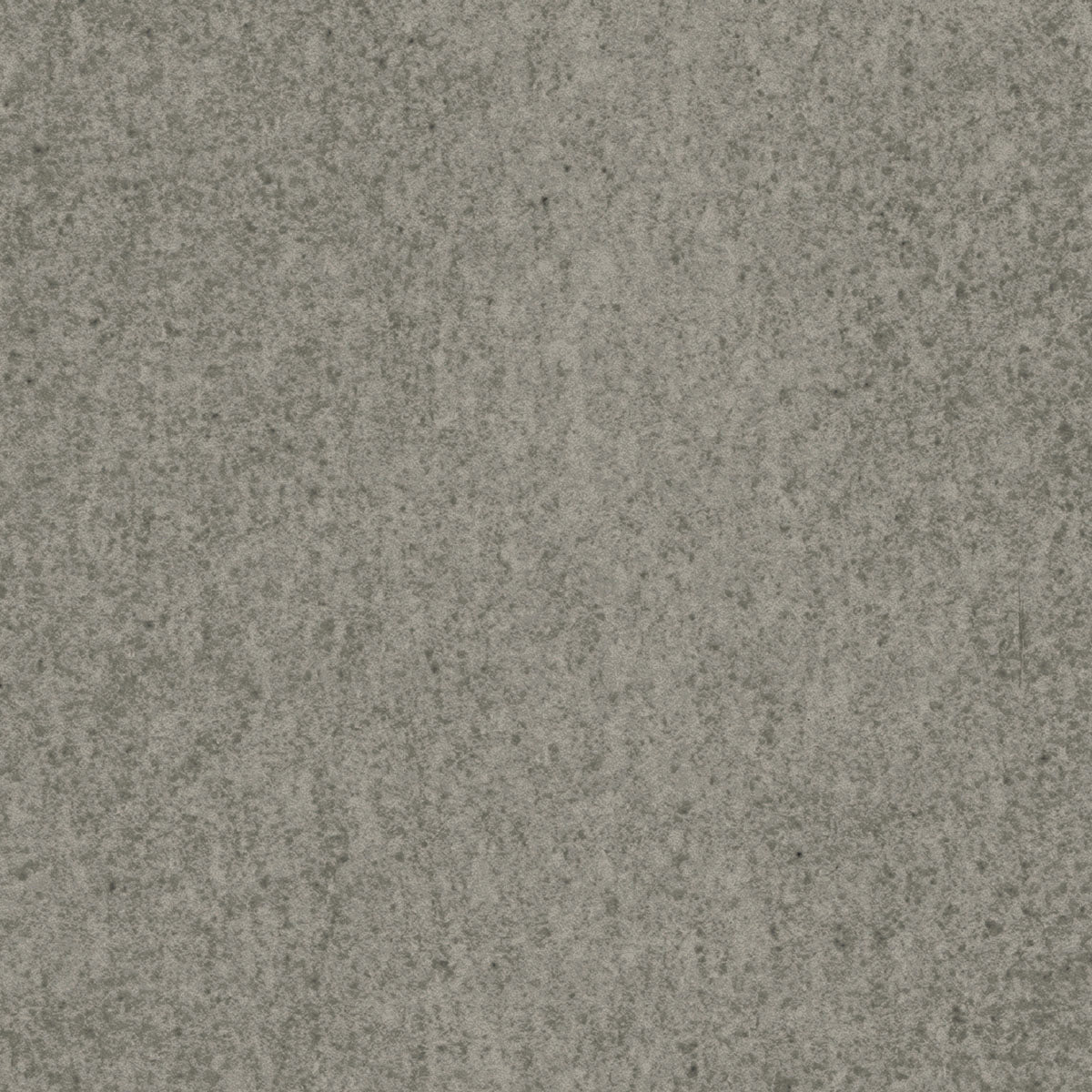 Italian Studio-Olive Grey SAMPLE